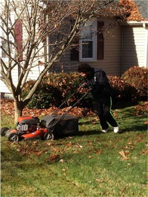 landscaping landscaping